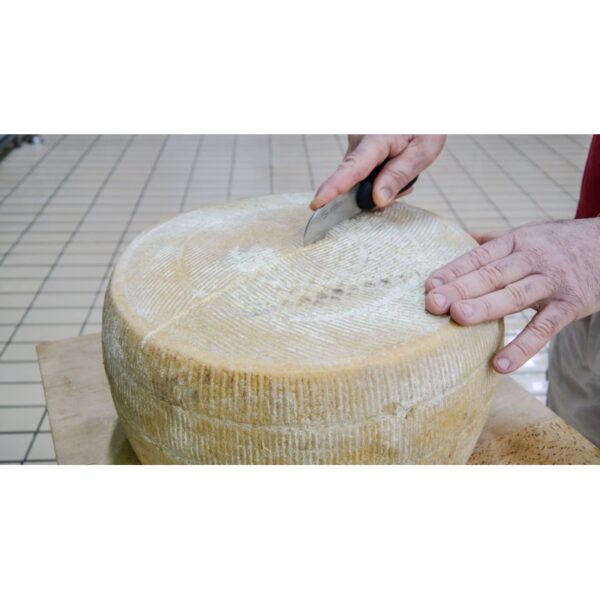 GRAN CALABRO - Formaggio Pecorino Stagionato – Riserva - immagine 3